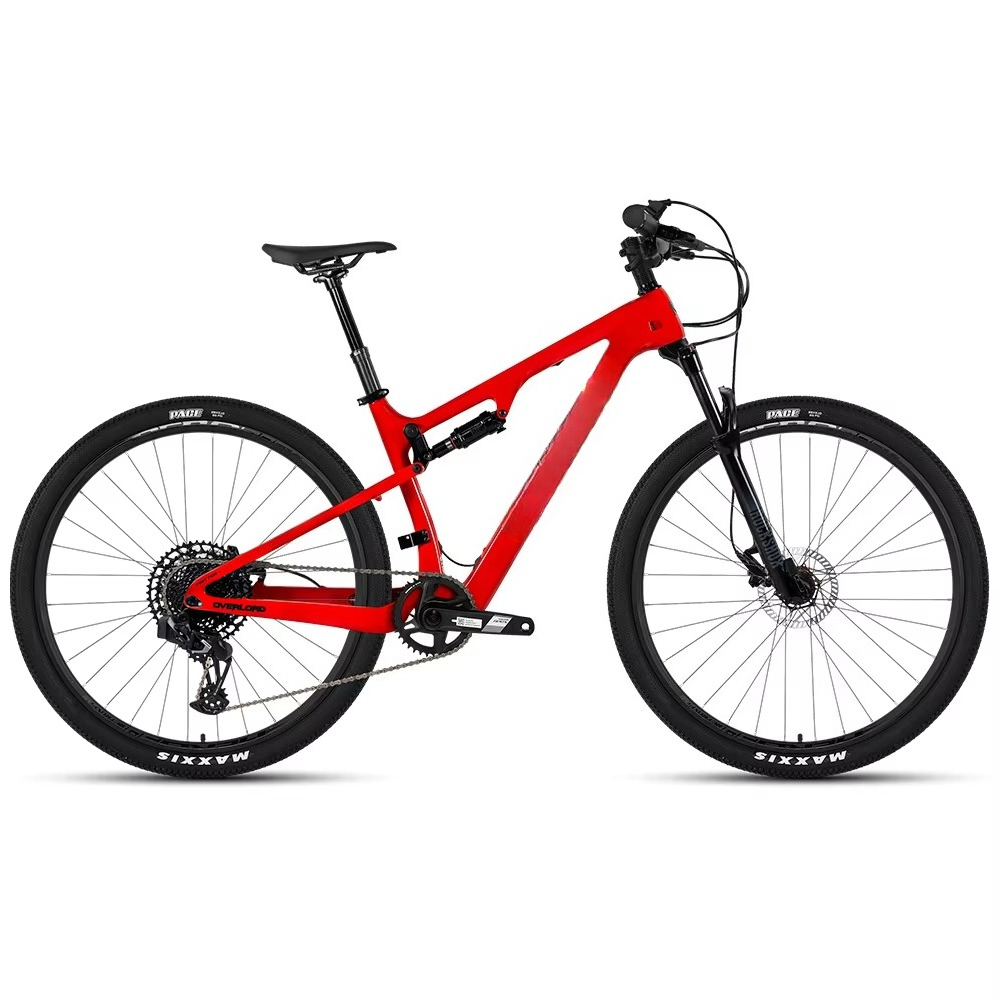 Vélo de montagne WWE avec cadr - Carbon Bike Frame avis et prix