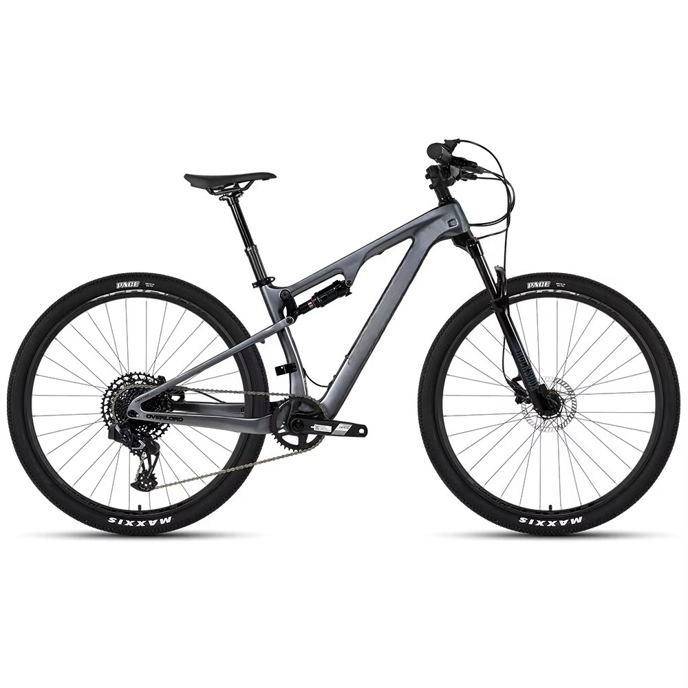 Vélo de montagne WWE avec cadr - Carbon Bike Frame avis et prix
